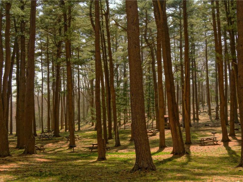 sudoku number placement screenshot 3